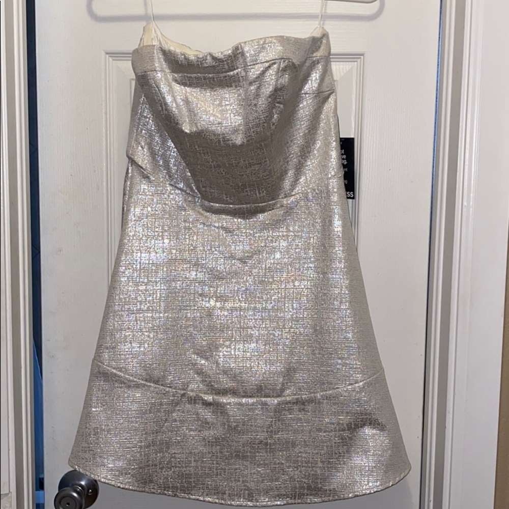 Strapless Silver and White Dress